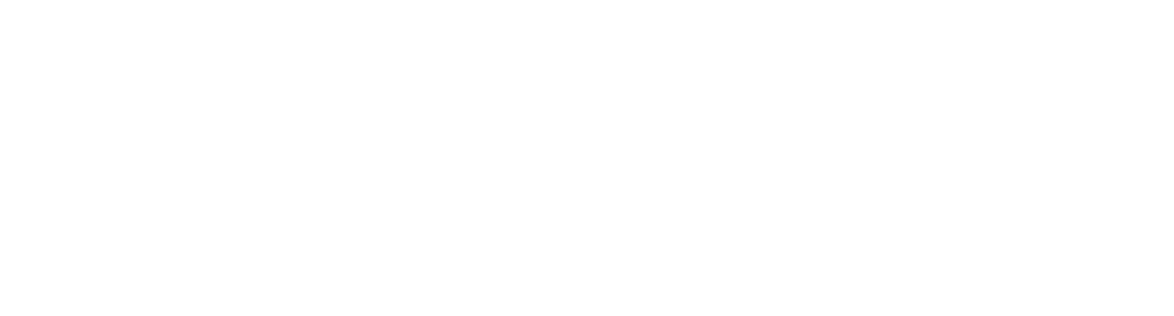 Portal Capital Humano